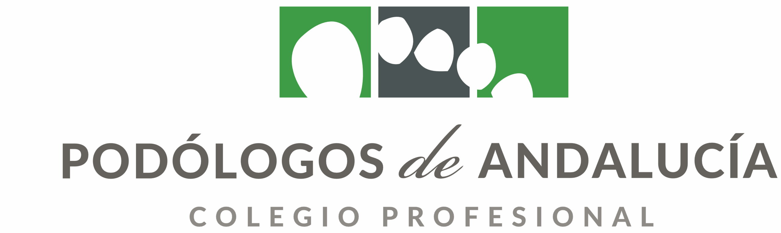 Colegio de Podólogos de Andalucia - Vocal Granada