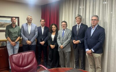 Elecciones en Unión Profesional de Granada