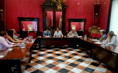 Consejo Social de la Ciudad de Granada